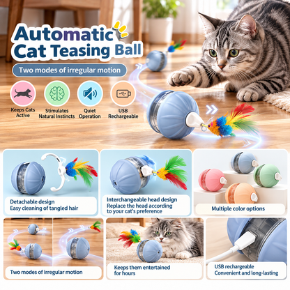 Rechargeable Interactive Cat Ball with Feather