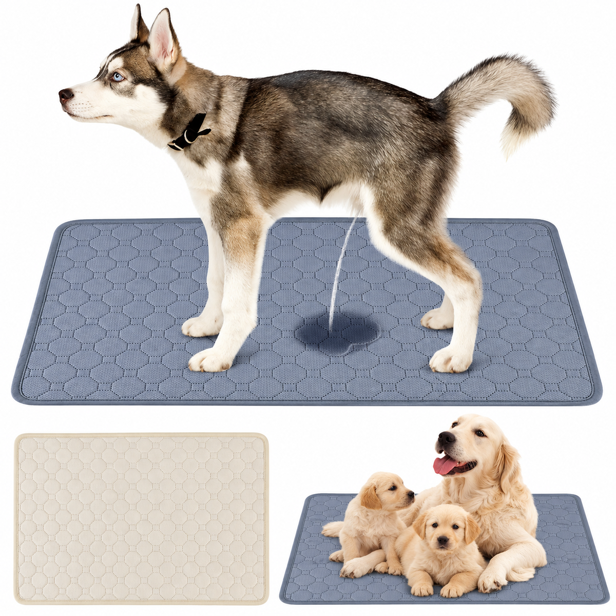 Washable Reusable Dog Training Pad with Waterproof Barrier