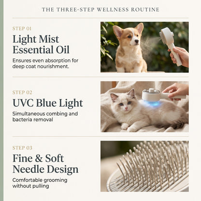 Rechargeable Self-Cleaning Mist Grooming Brush for Dogs &amp; Cats