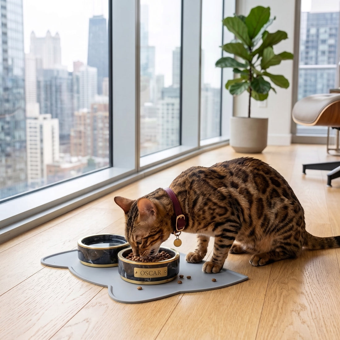 Silicone Pet Feeding Mat with Raised Spill Edge