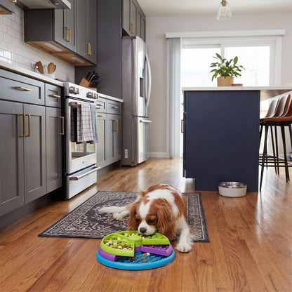 3-Layer Interactive Dog Puzzle Feeder &amp; Slow-Feed Bowl